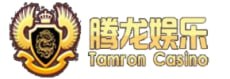 腾龙国际
